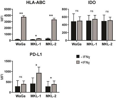 Single-Molecule RNA Sequencing Reveals IFNγ-Induced Differential Expression of Immune Escape Genes in Merkel Cell Polyomavirus–Positive MCC Cell Lines